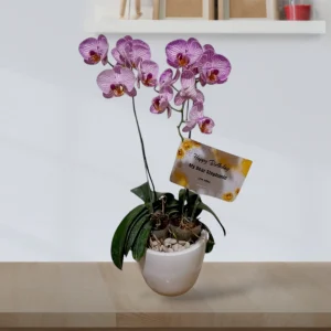 Katalog Bunga Meja Anggrek Bintang Florist